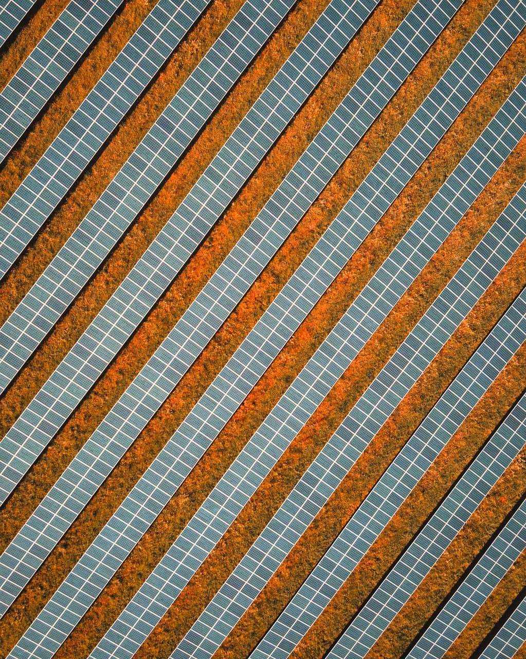 Profissionais da indústria solar trabalhando em energia renovável
